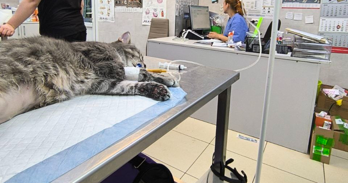 Я там сам чуть в обморок не упал.