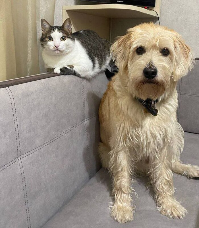 Ответ на пост «Покажи своего питомца!»