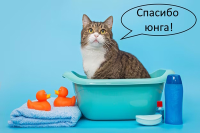 Иллюстрация к комментарию