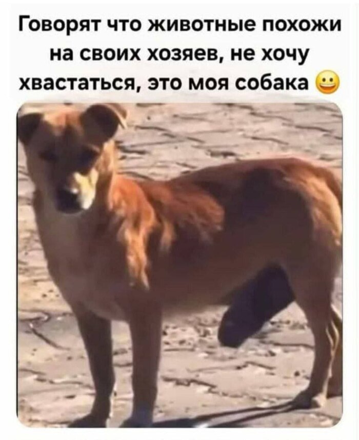 Только факты