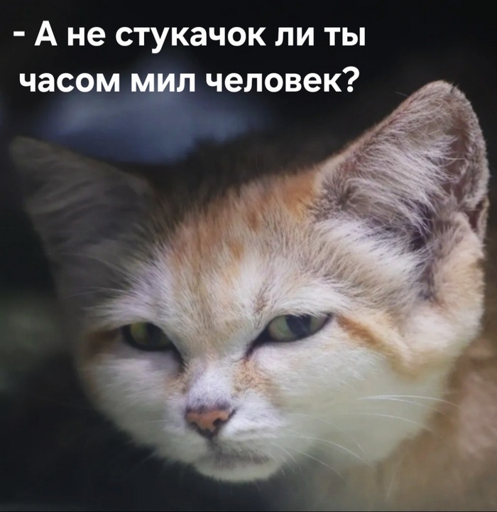 Ответ на пост "подозревака"