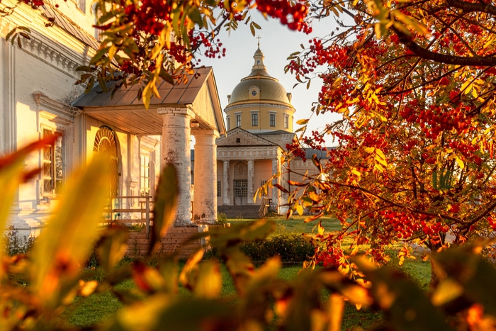 Костры рябин