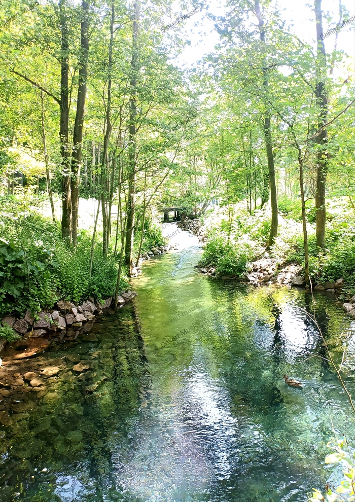 Необычное озеро