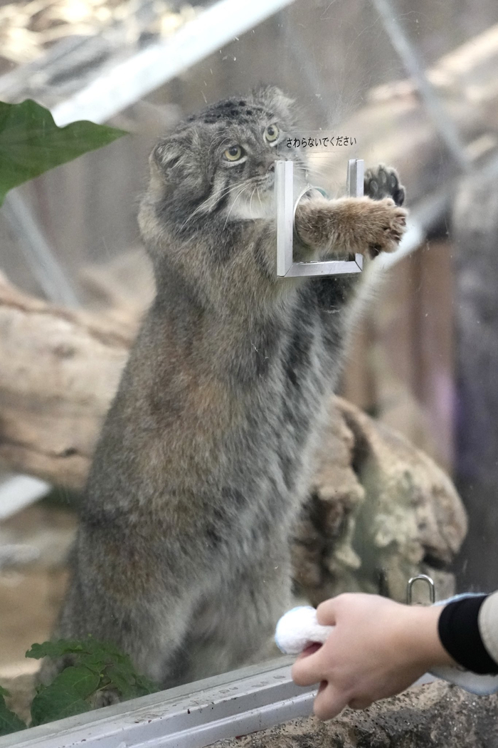 «Очень приятно, Нар!»