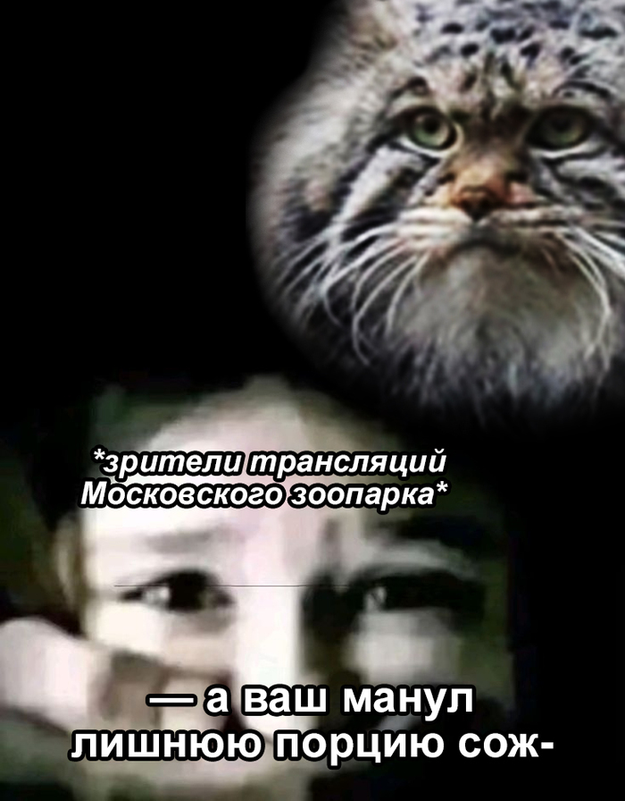 Трансляции Московского зоопарка посмотрели уже более 9 млн раз