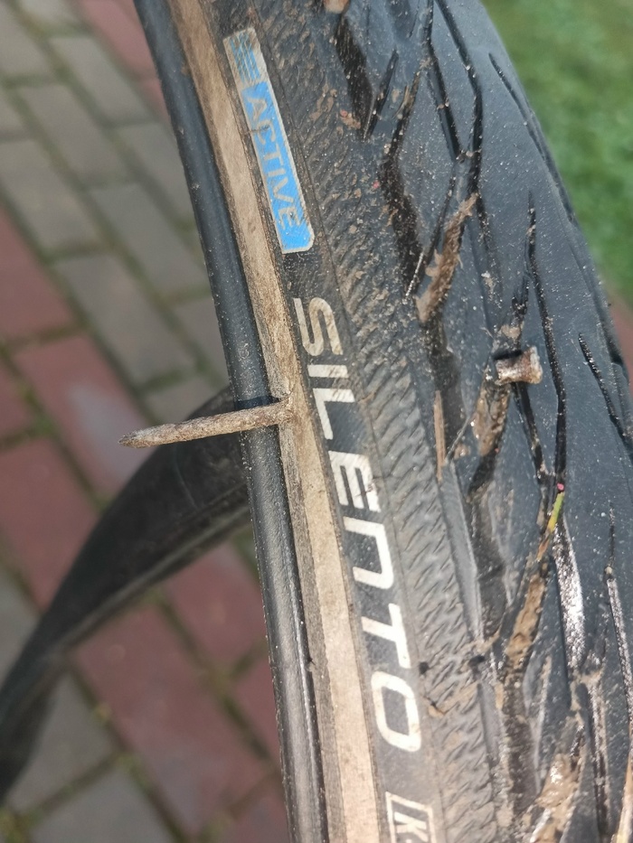 Ни гвоздя ни жезла