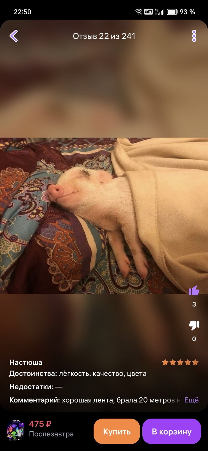 На волне халяль