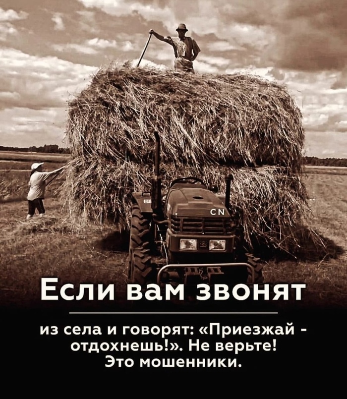 Как я съездил на сенокос в первый и в последний раз