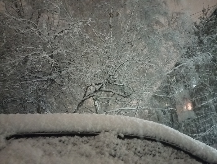 и вот вчера вечером начался сильный снегопад с огромными хлопьями снега, все было будто в покрывале из снега.