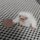 Аватар пользователя NewCrazerBirdy