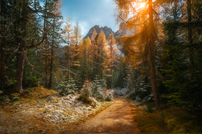 Золото осени