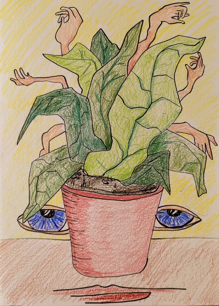 Цветок в горшке