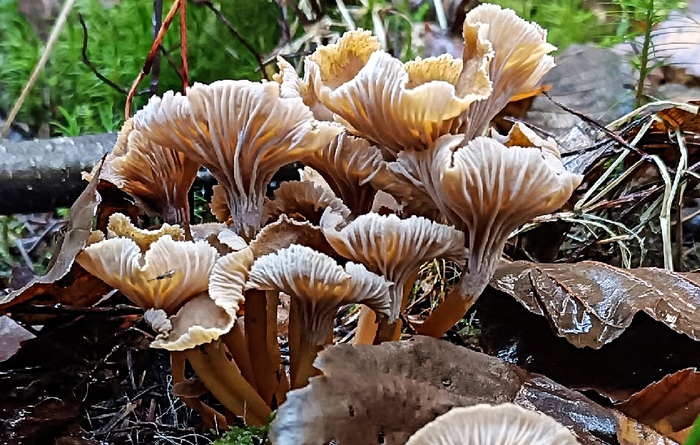 Фото Н. Синицыной.