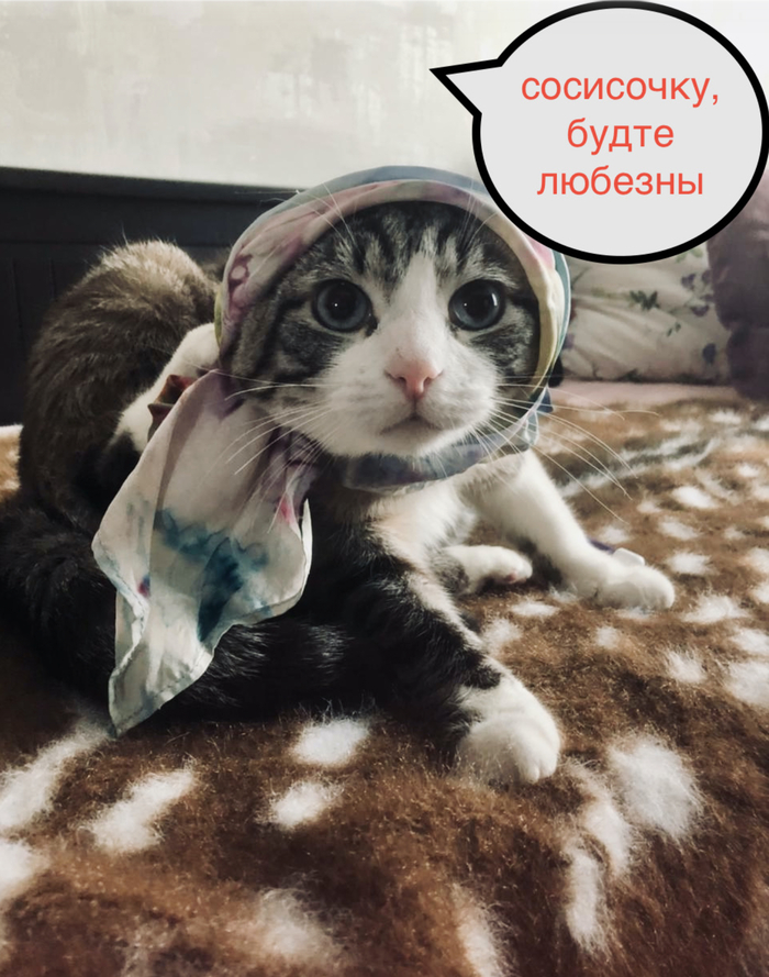 Ответ на пост «Во взгляде так и читается: "месть моя будет страшна!"»