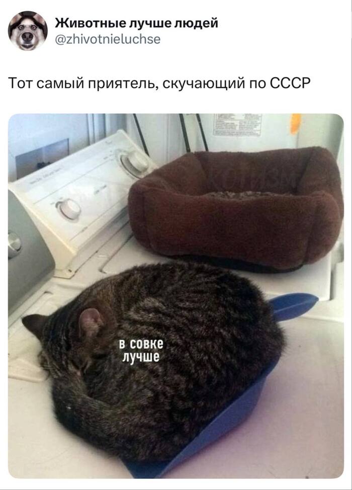 Скучаете по СССР?