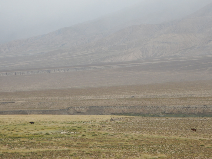 В этот день, дождь сразу - то шёл то нет, поэтому полноценно-окончательные сборы и в путь на сегодня, сдвигались и сдвигались всё... P.S: Чуваки-лошадки также на месте, и с нами ночевали🐎💖