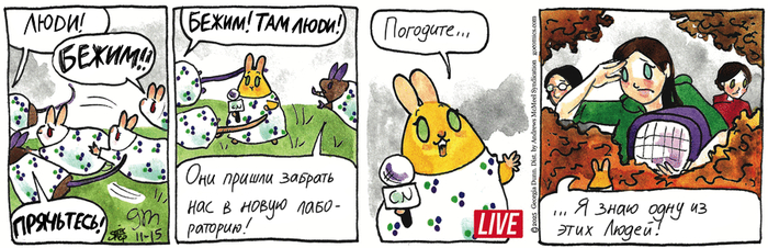 Котейкины Новости от 15.11.2025