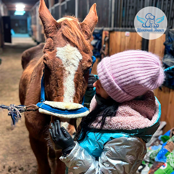 Обнимашки тоже полезны для здоровья