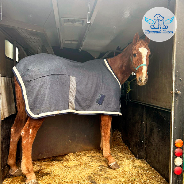 Встретили Юлия из Пензы — добро пожаловать!