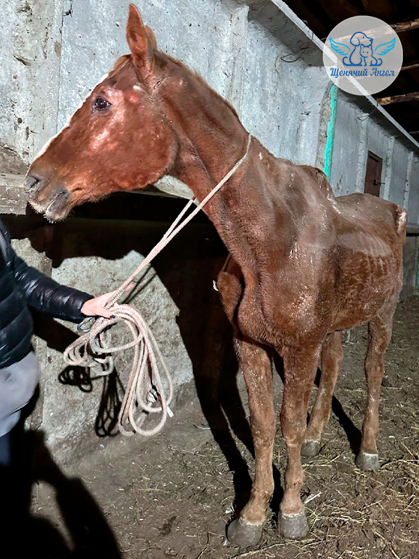 Наша первая встреча с Юлием