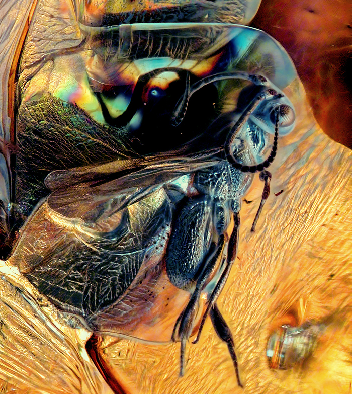 &quot; -1&quot;       (39 000 000 )