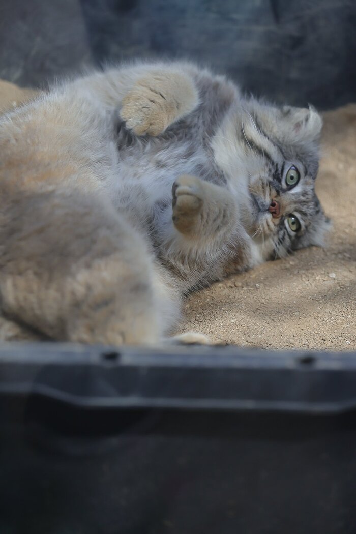 А как проходят ваши выходные?