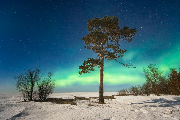 :  <a href="https://pikabu.ru/story/sosna_na_morskom_beregu_13401665?u=https%3A%2F%2Frtraveler.ru%2Fphoto%2F1479420%2F%3Fnew_photos%3D1&t=%D0%BE%D1%82%D1%81%D1%8E%D0%B4%D0%B0&h=068471249dab8df3835a9a1922c3e15e26ccbbbe" title="https://rtraveler.ru/photo/1479420/?new_photos=1" target="_blank" rel="nofollow noopener"> </a>