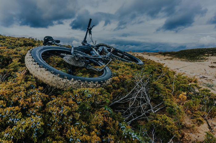         -      ,     ,            .