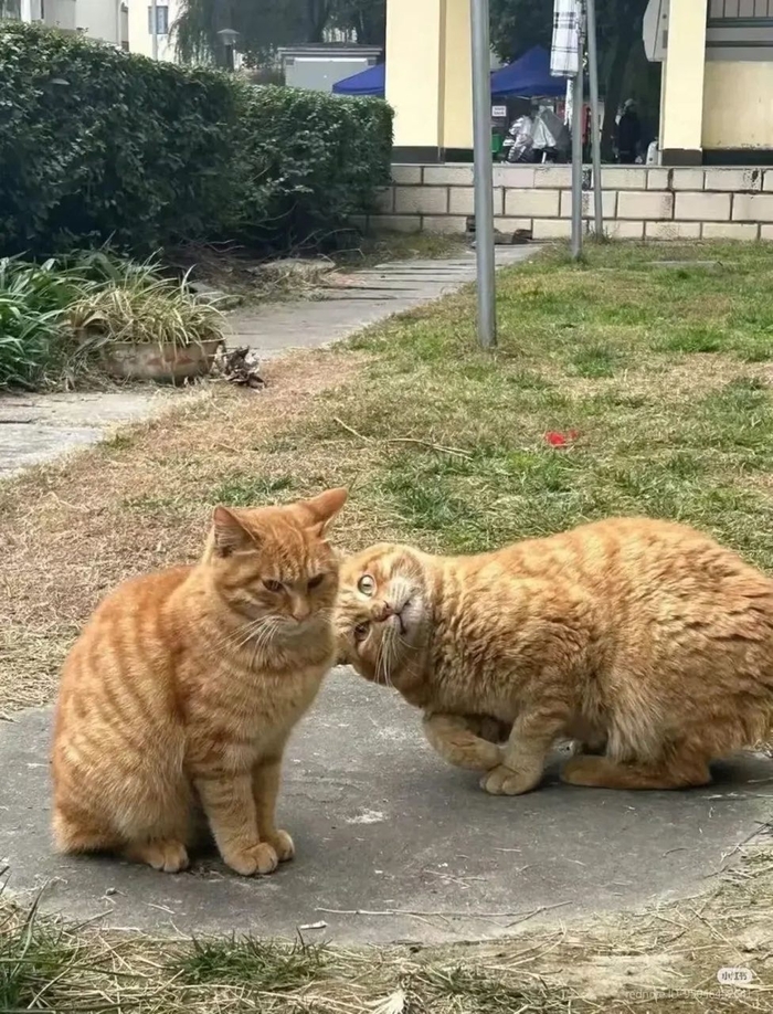 - Я не договорила