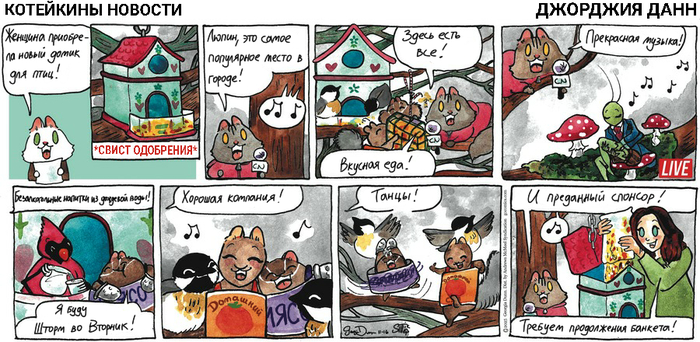 Котейкины Новости от 16.11.2025