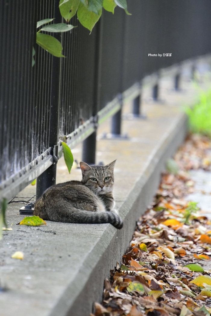 Взгляд осени