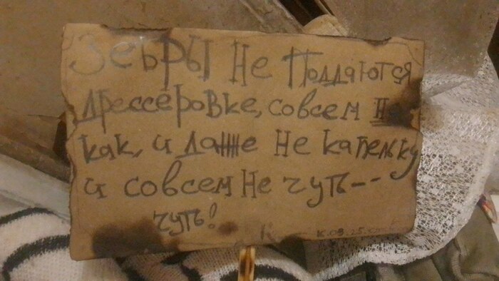 табличка к зебре