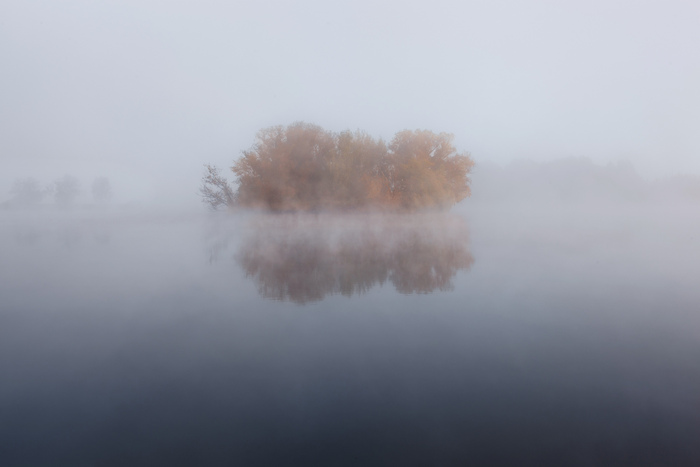 Остров в тумане