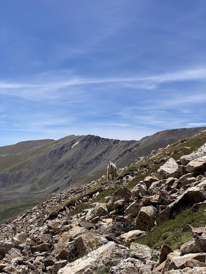 Склон горы Демократ, Колорадо, США