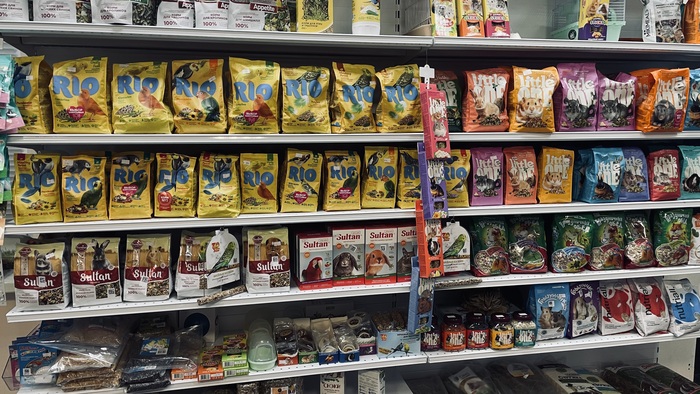 Найди кота!)