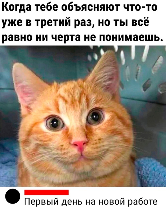 У кого было?)