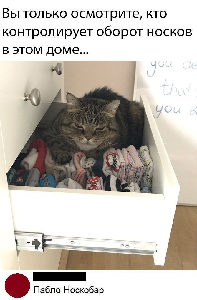 Мне кажется, он и внешнее вмешательство прекрасно может отразить