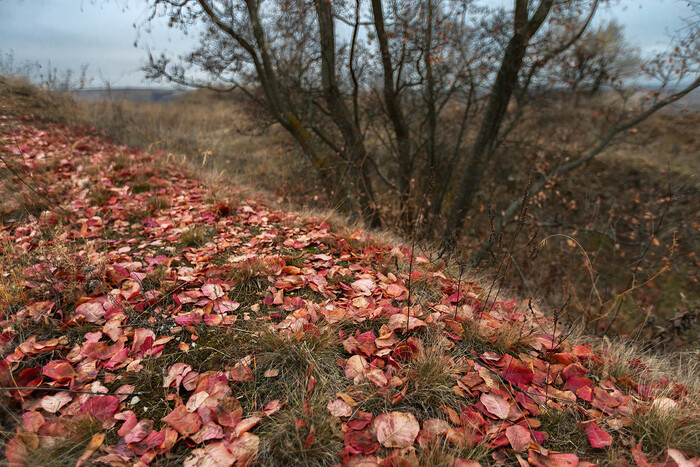 <!--noindex--><a href="https://pikabu.ru/story/obletela_skumpiya_13412065?u=https%3A%2F%2Fru.wikipedia.org%2Fwiki%2F%25D0%25A1%25D0%25BA%25D1%2583%25D0%25BC%25D0%25BF%25D0%25B8%25D1%258F&t=https%3A%2F%2Fru.wikipedia.org%2Fwiki%2F%D0%A1%D0%BA%D1%83%D0%BC%D0%BF%D0%B8%D1%8F&h=0ea0e9a2ef75e67021c12555b89e3bf087732a78" title="https://ru.wikipedia.org/wiki/%D0%A1%D0%BA%D1%83%D0%BC%D0%BF%D0%B8%D1%8F" target="_blank" rel="nofollow noopener">https://ru.wikipedia.org/wiki/</a><!--/noindex-->