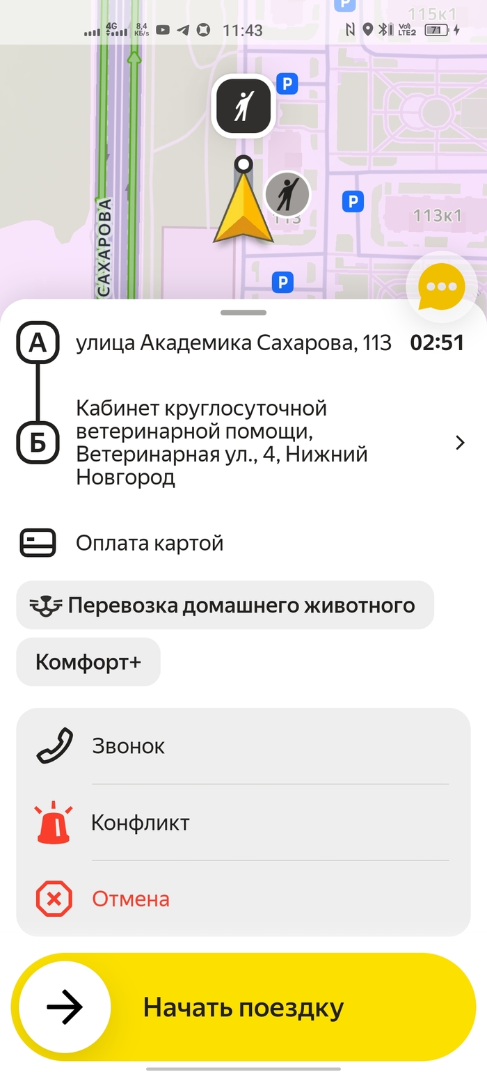Меня наказали за кота. Нет это не шутка. Это яндекс