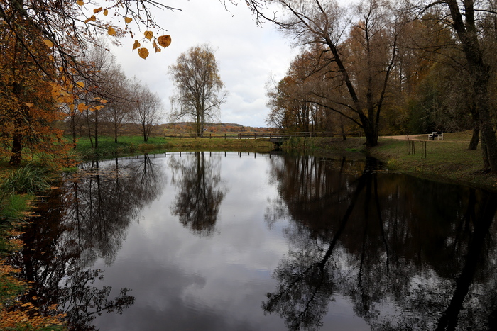 ,  .        (    )  2025.