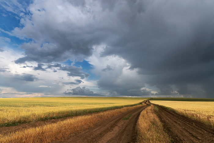 <!--noindex--><a href="https://pikabu.ru/story/dorogi_kotoryie_myi_vyibiraem_13415649?u=https%3A%2F%2Filibrary.ru%2Ftext%2F4561%2Fp.1%2Findex.html&t=https%3A%2F%2Filibrary.ru%2Ftext%2F4561%2Fp.1%2Findex.html&h=140003c2e52294c64e9b5338e838540e5bca2548" title="https://ilibrary.ru/text/4561/p.1/index.html" target="_blank" rel="nofollow noopener">https://ilibrary.ru/text/4561/p.1/index.html</a><!--/noindex-->