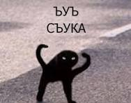 Ответ на пост «-ТСЯ или -ТЬСЯ . НАКИПЕЛО»