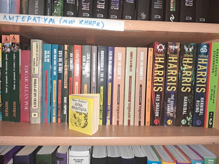 Шкаф Полка 2