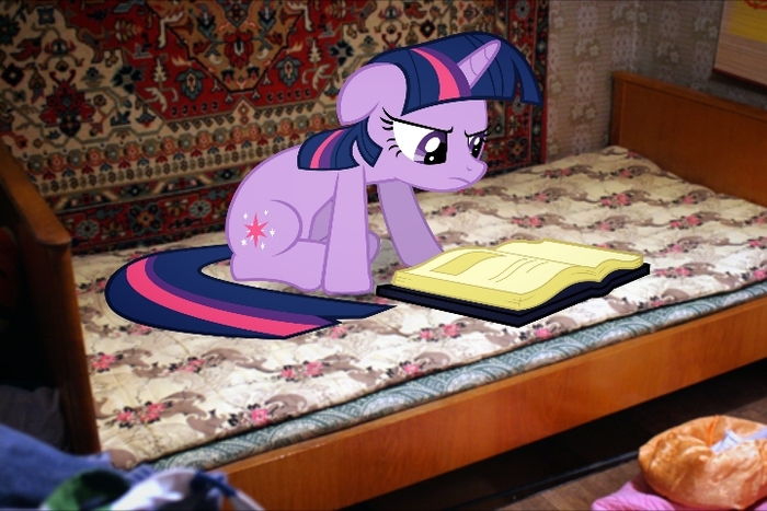   ,       ,                    .