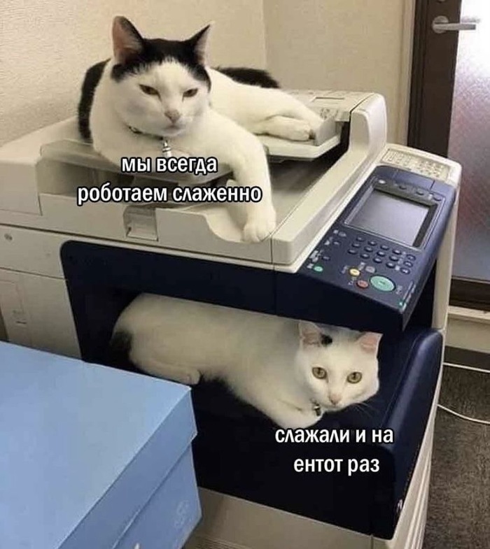 Главное, чтобы не уволили)