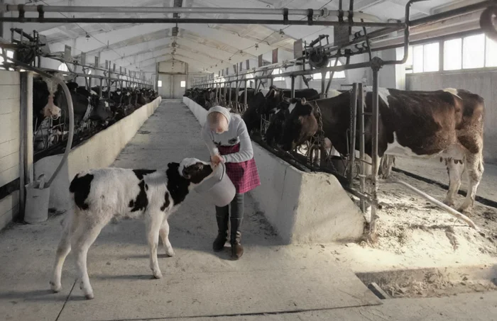 Фотограф: Сергей Соловьев