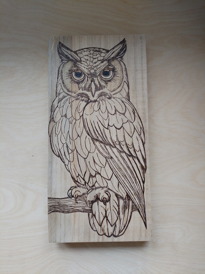 Совиный страж: Ещё в доработке. Дерево-бук