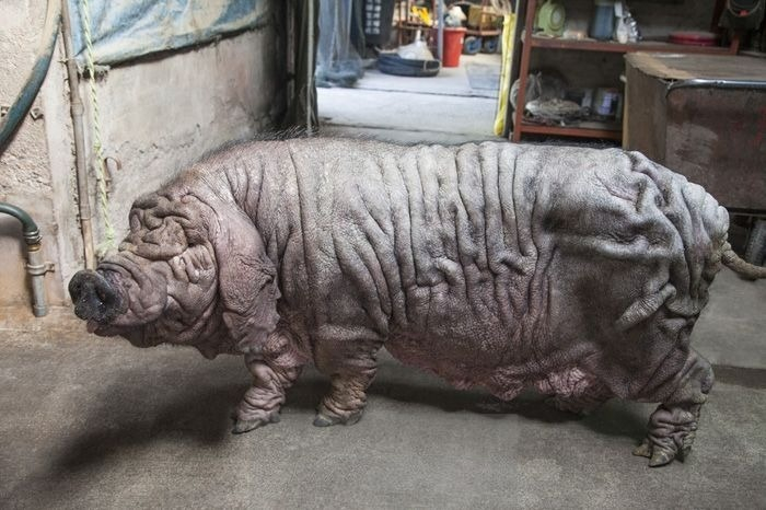 ПОДНЕМИТЕ МНЕ ВЕКИ.