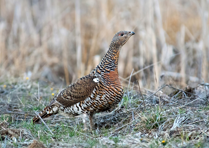 Фото из открытых источников.