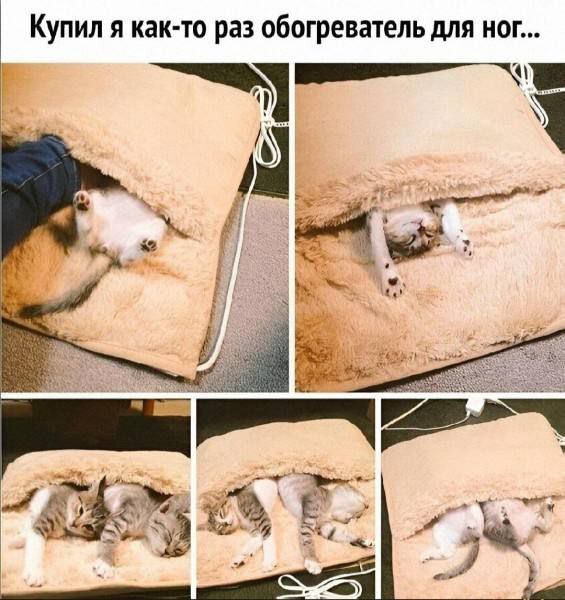 Теперь у него нет обогревателя для ног